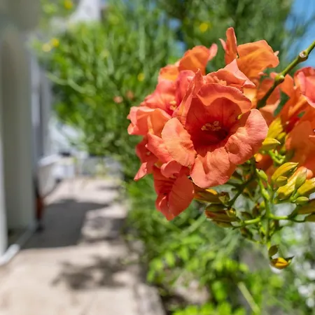 Holiday home Kosnian B Kos Town