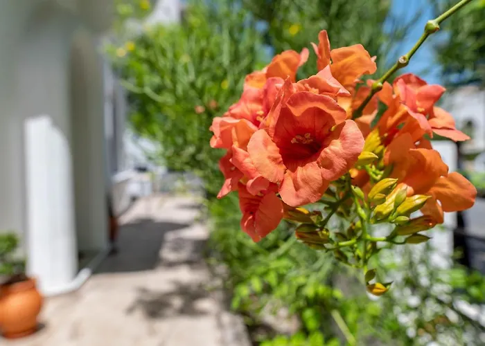 Hébergement de vacances Kosnian B Kos